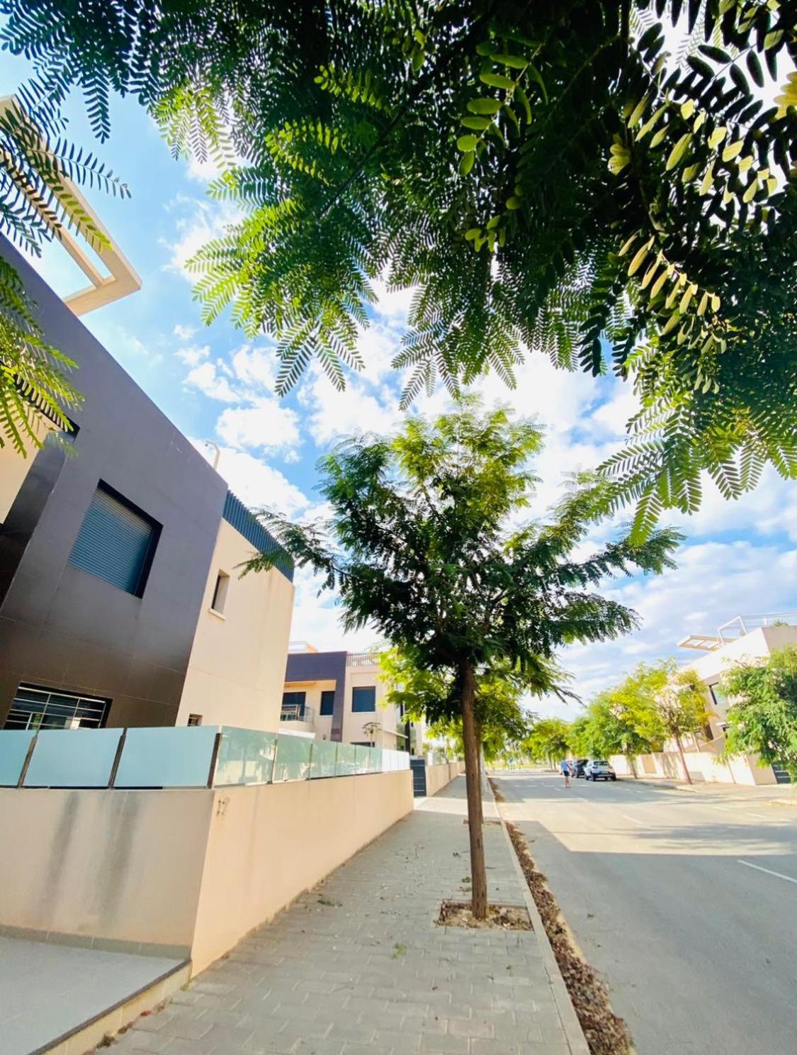 Appartement Mil Palmeras Torre de la Horadada Екстер'єр фото